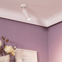 Faretto Orientabile da Binario Trifase o Soffitto 8W LED 24°