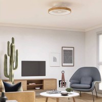 copy of Mantra Tibet LED Fan Ceiling Lamp Managed By APP Amazon