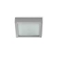 Martini Inoxa square Ceiling Lamp 2x18W Grey IP44 For Outdoor Lighting - 1