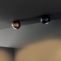 Lodes Spider Adjustable LED Spherical Ceiling Lamp for Indoor