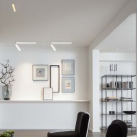 Wever & Ducrè Mick 1.0 LED Ceiling Surface Lamp Single Light