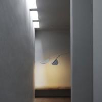 Flos Almendra Organic S3 Y Suspension Lamp By P Urquiola