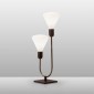 Cattaneo Smith 2L Table Lamp in Brass 2 Arms for Indoor
