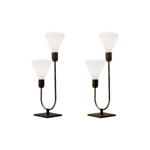 Cattaneo Smith 2L Table Lamp in Brass 2 Arms for Indoor