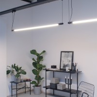Wever & Ducrè DARF Tubular Neon LED Suspension Lamp