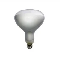 Daylight Italia Frosted Bulb Lamp R125 LED E27 11W 2700K 1005