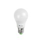 copy of Daylight Italia Bulb Lamp LED E27 12V 24V 9W 806lm 3000K Low Voltage