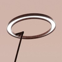 Linea Light Lira Lampada LED da Terra ad Anello per Esterno