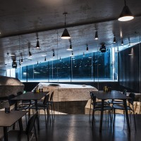 Louis Poulsen Keglen 250 Lampada LED Conica da Sospensione By BIG